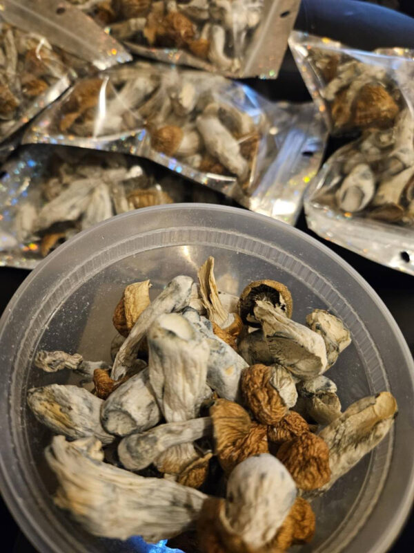 Magic Mushrooms